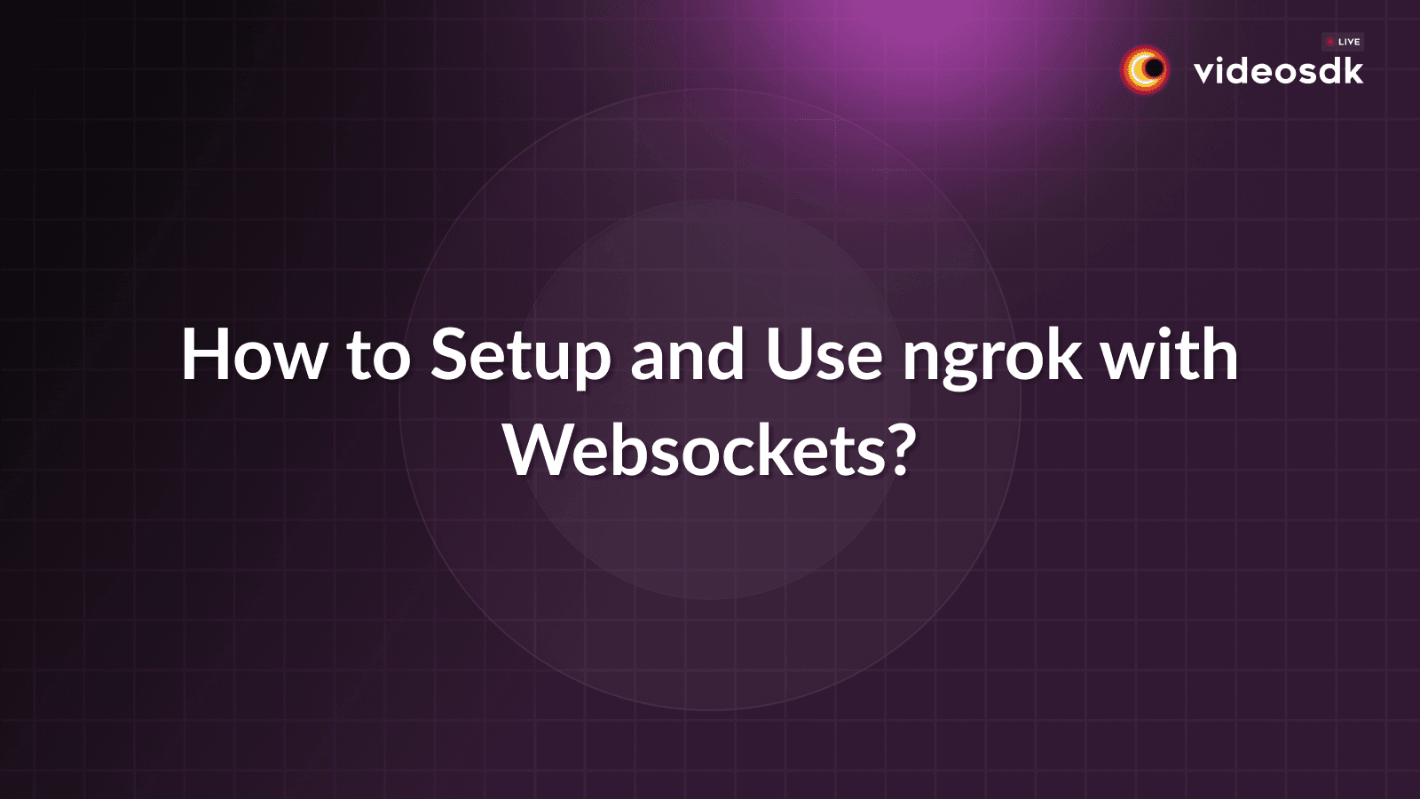 How to Setup and Use ngrok with Websockets?