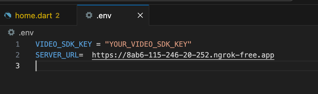 Video SDK Image