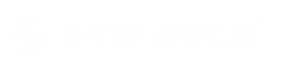 Smallest AI